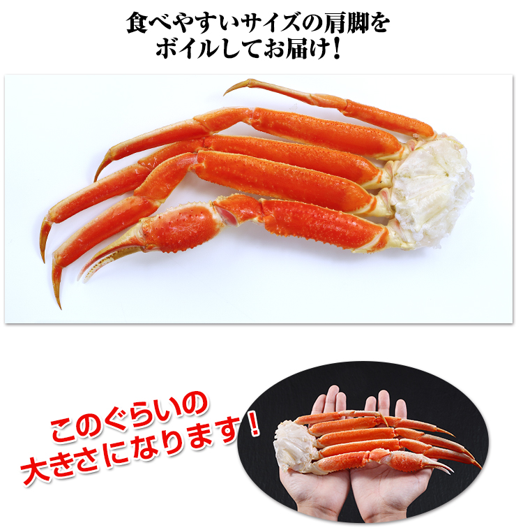 ボイルずわい肩脚1肩を皿と両手に載せた、かに本舗の商品写真