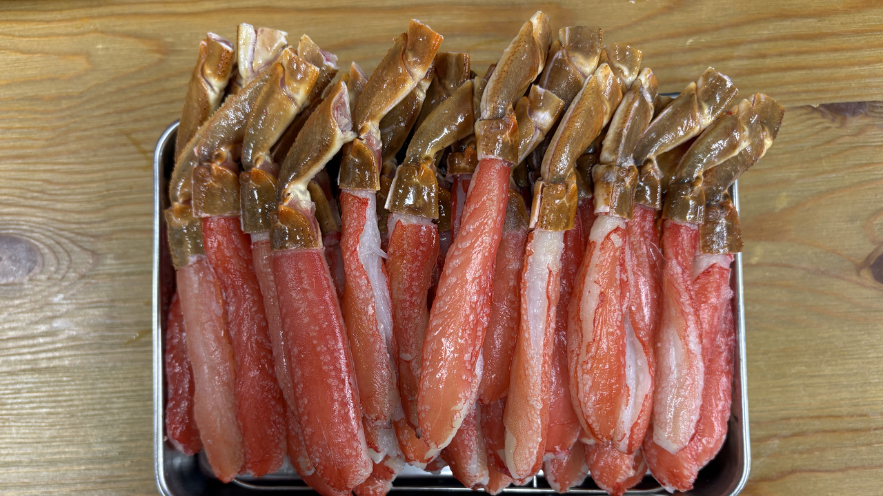 トレーいっぱいに並べた生ズワイガニの脚肉むき身