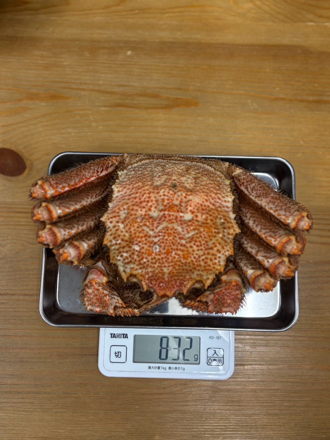 解凍後の毛ガニをトレーごとはかりに載せ、832gと表示された様子